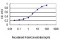 MCM2 Antibody (monoclonal) (M01)