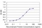 MCM3 Antibody (monoclonal) (M03)