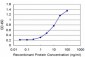 MCP Antibody (monoclonal) (M07)