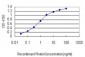 MCPH1 Antibody (monoclonal) (M07)