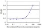 MDH1 Antibody (monoclonal) (M01)