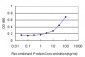 ME1 Antibody (monoclonal) (M02)