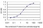 MED8 Antibody (monoclonal) (M01)