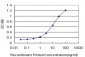 MEF2A Antibody (monoclonal) (M08)