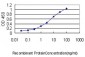 MEIS2 Antibody (monoclonal) (M01)