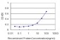 MEOX1 Antibody (monoclonal) (M07)