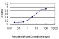 MEOX2 Antibody (monoclonal) (M03)