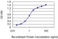 MESP1 Antibody (monoclonal) (M06)