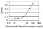 MFN1 Antibody (monoclonal) (M04)