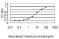 MIF Antibody (monoclonal) (M01)