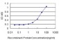 MKNK2 Antibody (monoclonal) (M04)