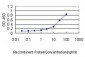 MOAP1 Antibody (monoclonal) (M01)