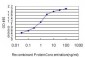 MPG Antibody (monoclonal) (M04)