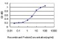 MPG Antibody (monoclonal) (M07)