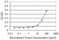 MPG Antibody (monoclonal) (M08)