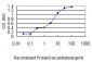 MRPL12 Antibody (monoclonal) (M01)