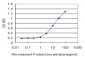 MRPS27 Antibody (monoclonal) (M06)