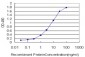 MSH5 Antibody (monoclonal) (M08)