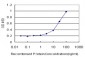 MSI2 Antibody (monoclonal) (M08)