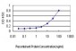 MTAP Antibody (monoclonal) (M01)