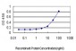 MUTYH Antibody (monoclonal) (M01)