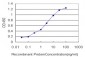 MVD Antibody (monoclonal) (M01)