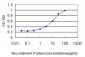 MVP Antibody (monoclonal) (M01)