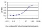 MVP Antibody (monoclonal) (M01)