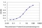 MYBL2 Antibody (monoclonal) (M03)