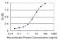 MYCBP Antibody (monoclonal) (M08)