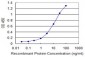 MYCBP Antibody (monoclonal) (M13)