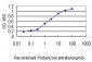 MYCN Antibody (monoclonal) (M01)