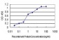 MYOG Antibody (monoclonal) (M01)