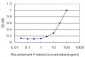 NBN Antibody (monoclonal) (M01)