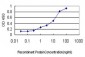 NCF4 Antibody (monoclonal) (M01)