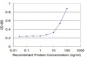 NCOA4 Antibody (monoclonal) (M04)