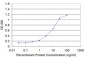 NCOA4 Antibody (monoclonal) (M05)