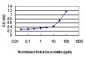 NDN Antibody (monoclonal) (M02)