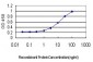 NDRG1 Antibody (monoclonal) (M03)