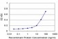 NEK2 Antibody (monoclonal) (M02)