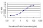 NEK9 Antibody (monoclonal) (M01)