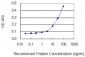 NFYC Antibody (monoclonal) (M01)