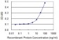 NID1 Antibody (monoclonal) (M01)