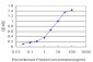 NKIRAS1 Antibody (monoclonal) (M01)