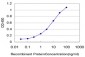 NKX3-1 Antibody (monoclonal) (M02)