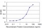 NKX3-1 Antibody (monoclonal) (M03)