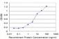 NME2 Antibody (monoclonal) (M11)