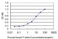 NMI Antibody (monoclonal) (M03)