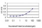 NODAL Antibody (monoclonal) (M03)