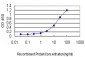 NQO1 Antibody (monoclonal) (M01)